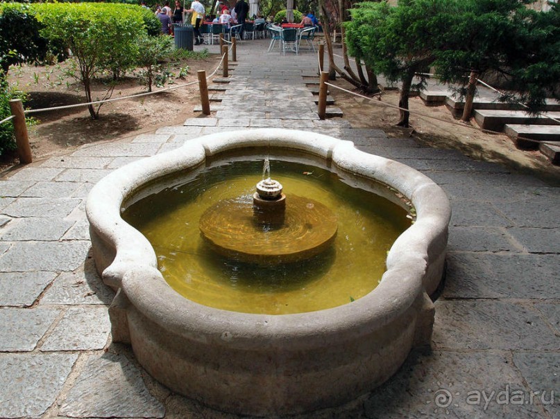 Танец павлина