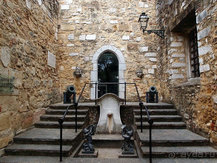 Танец павлина