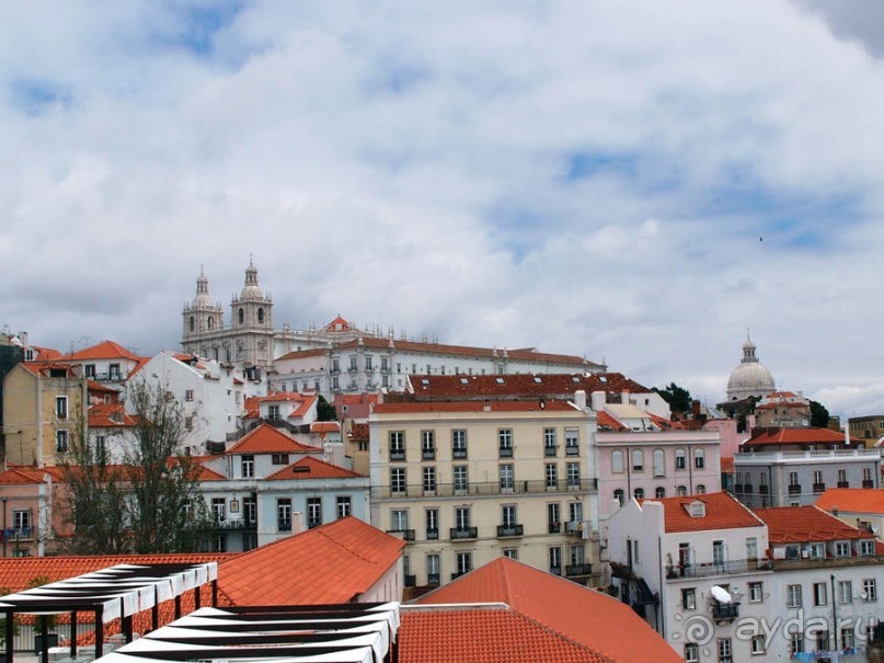 Танец павлина