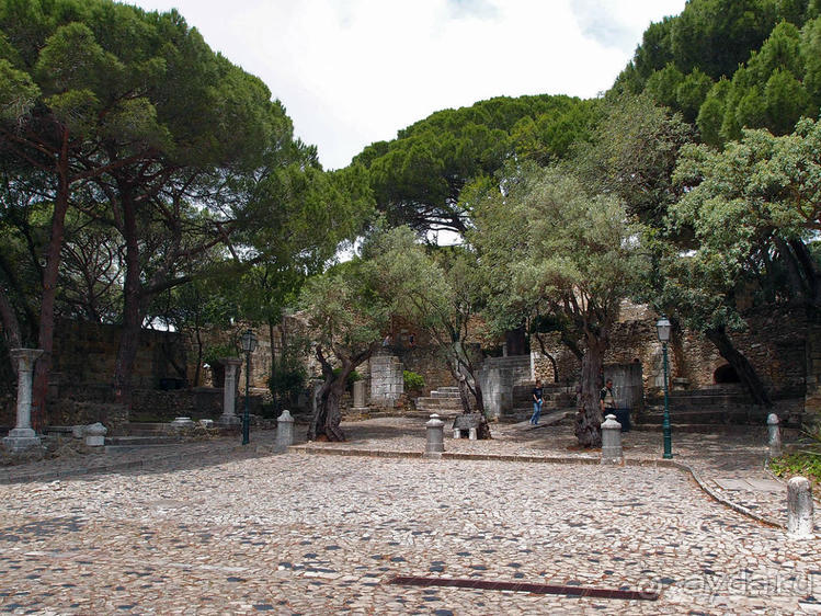 Танец павлина