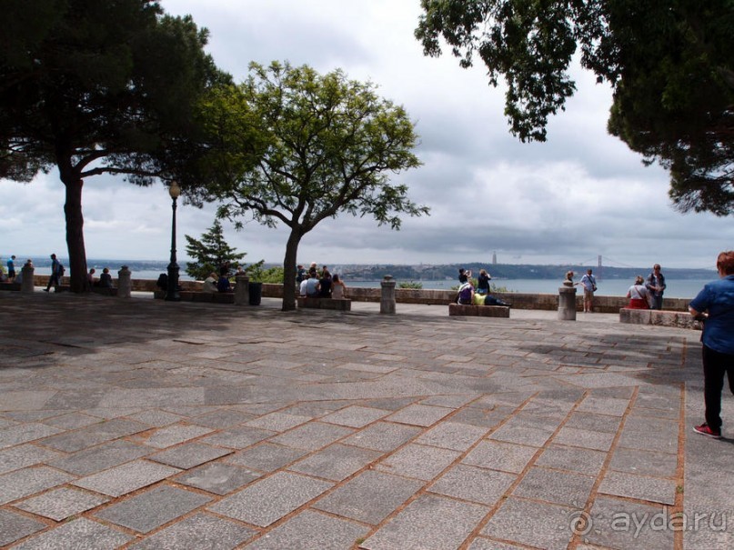 Танец павлина