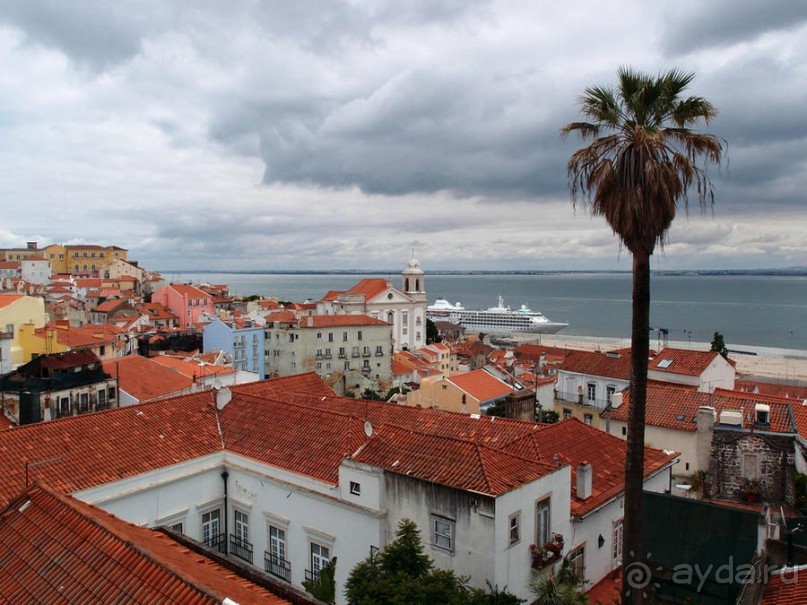 Танец павлина