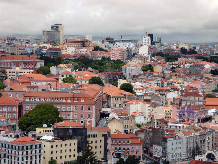 Танец павлина