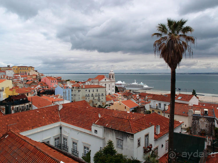 Танец павлина