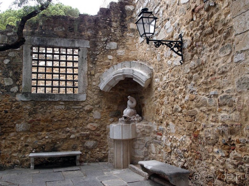 Танец павлина