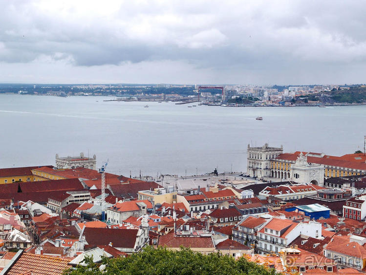 Танец павлина