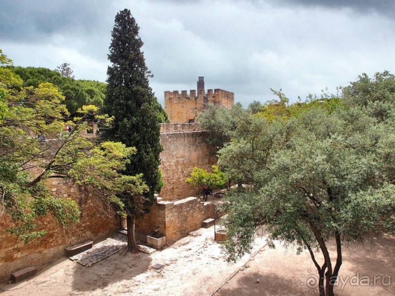 Танец павлина