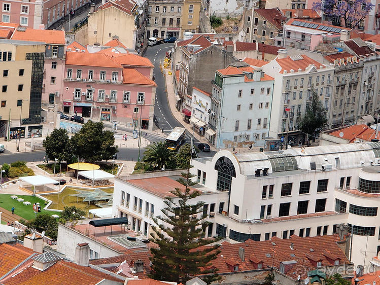 Танец павлина