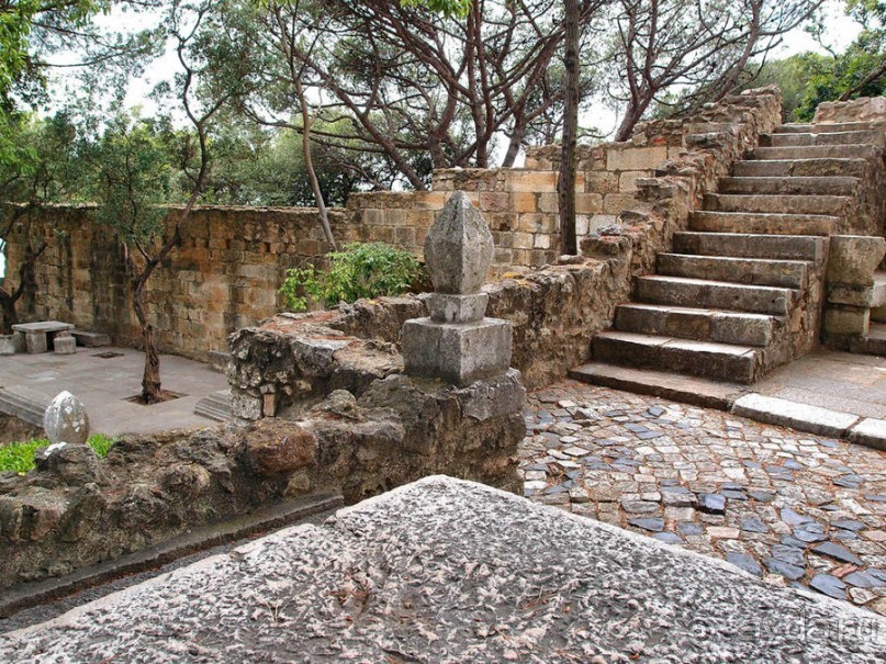 Танец павлина