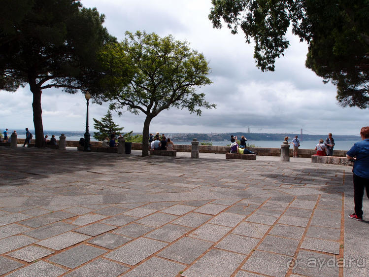 Танец павлина