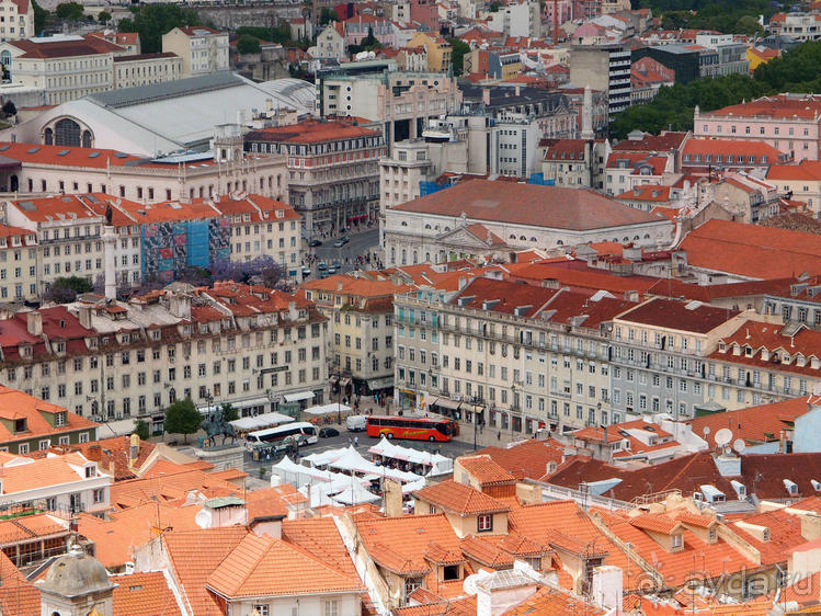 Танец павлина