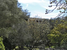 Альбом отзыва "Тисио и Античная Агора"