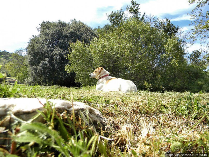 Тисио и Античная Агора