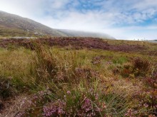 Килларни — город и Национальный парк