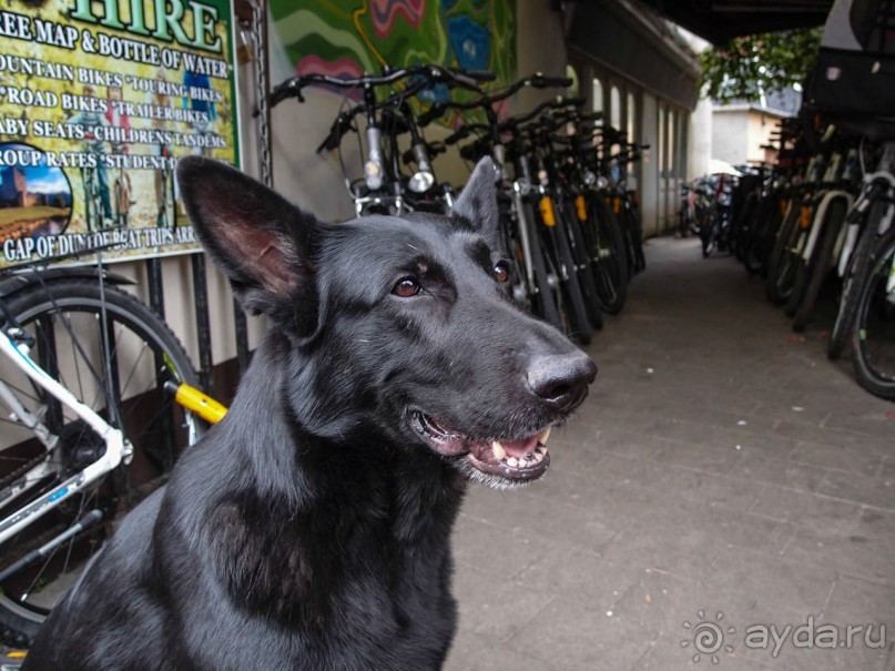 Килларни — город и Национальный парк