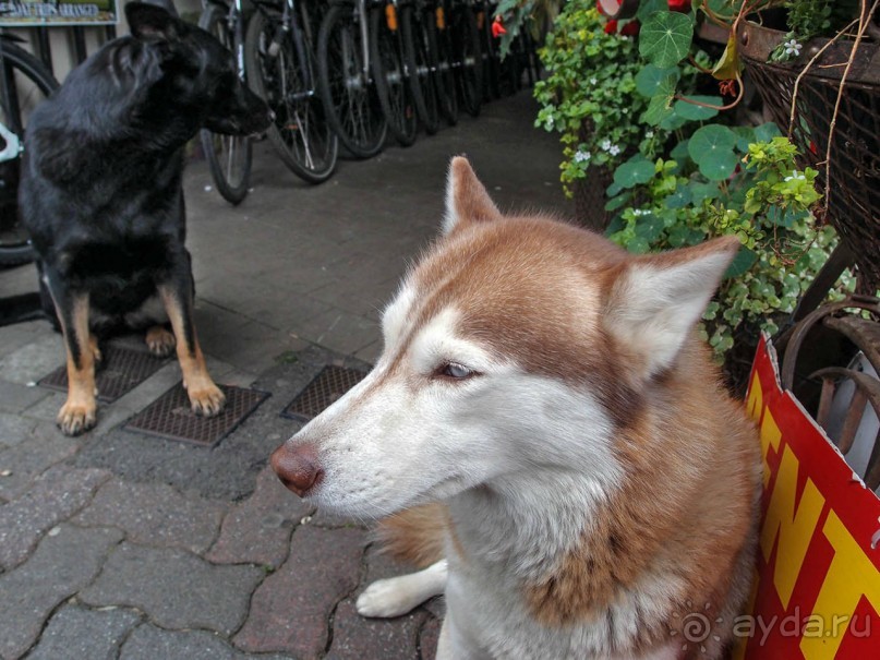 Килларни — город и Национальный парк