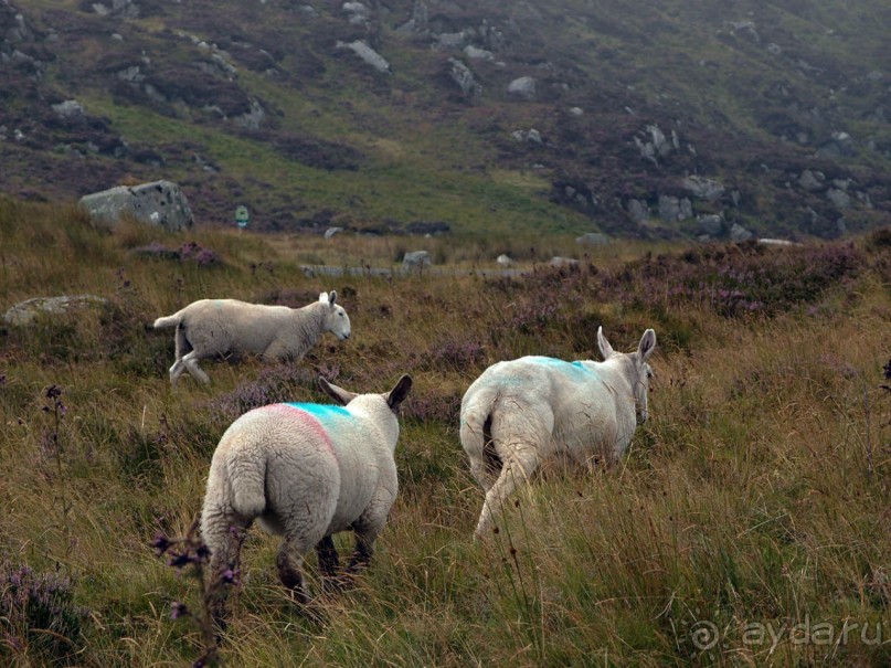 Килларни — город и Национальный парк