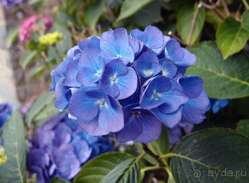 Килларни — город и Национальный парк