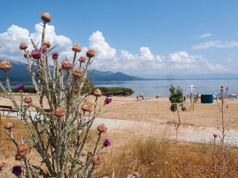 От озера до озера. Галичица