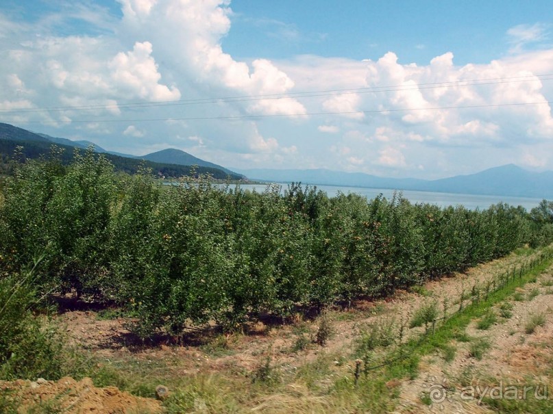 От озера до озера. Галичица