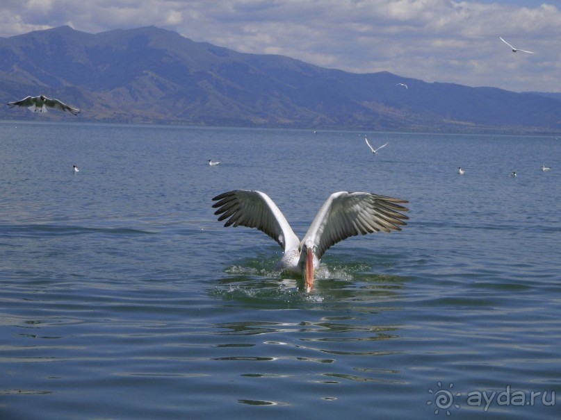 От озера до озера. Галичица