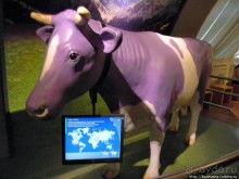 Сладкие приключения