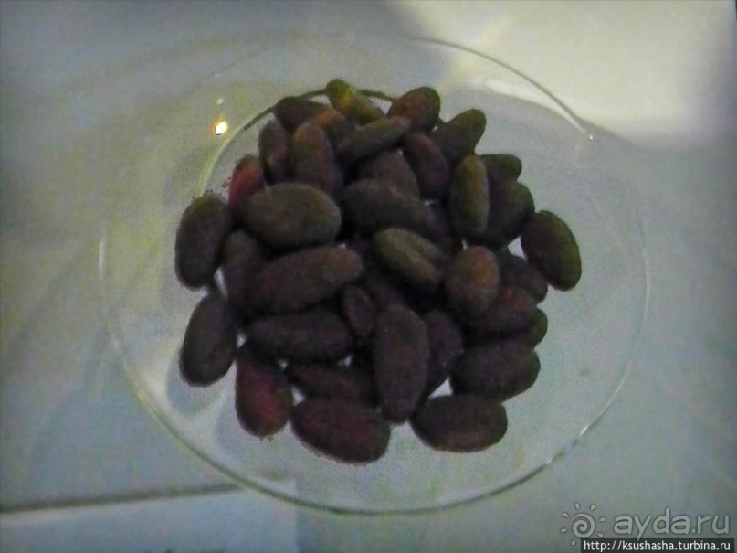 Сладкие приключения