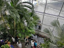 Сладкие приключения