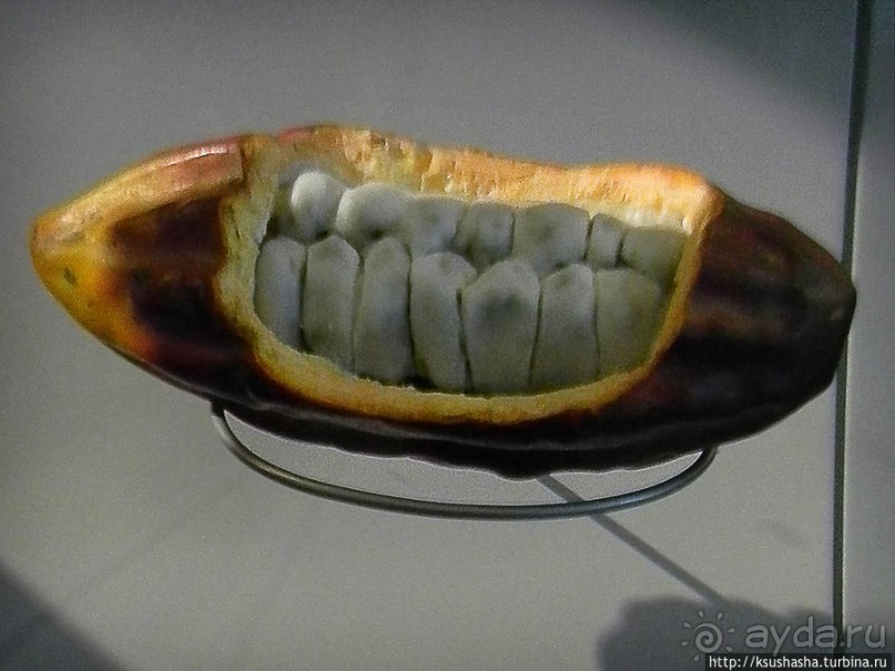 Сладкие приключения