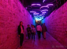 Снова расцветился город ночной