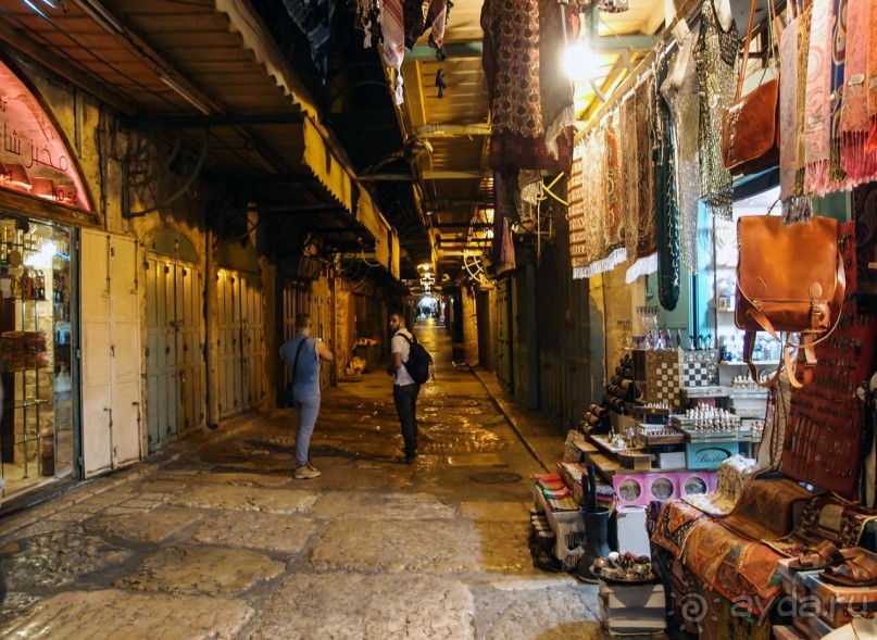 Снова расцветился город ночной