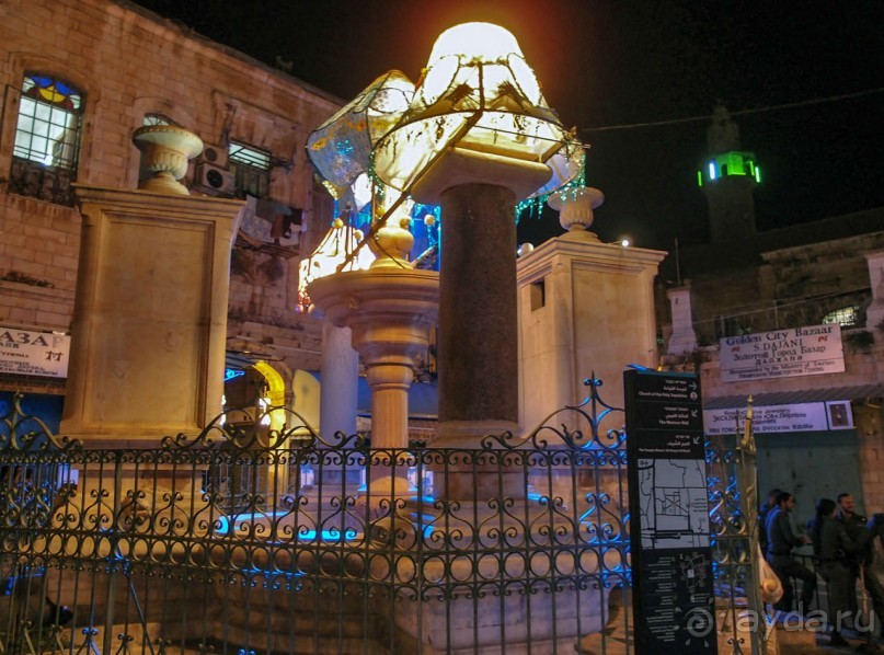 Снова расцветился город ночной