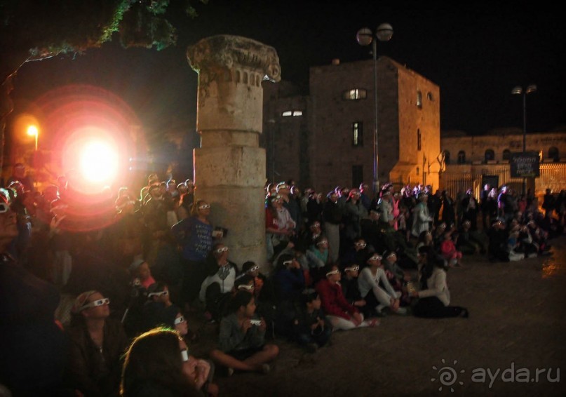 Снова расцветился город ночной