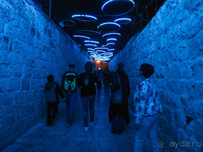 Снова расцветился город ночной