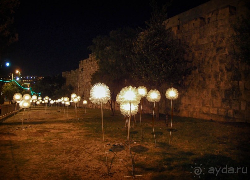 Снова расцветился город ночной