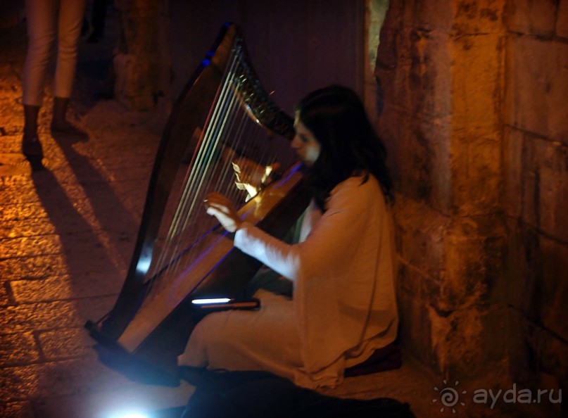 Снова расцветился город ночной