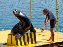 На часок к Калипсо