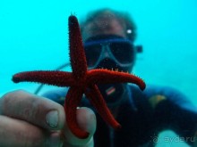 На часок к Калипсо