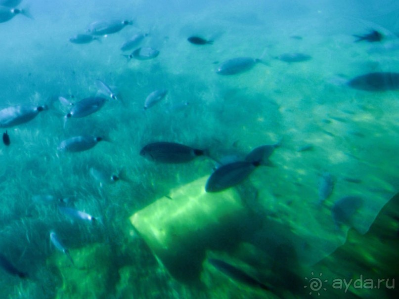 На часок к Калипсо