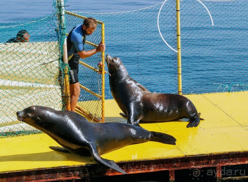 На часок к Калипсо