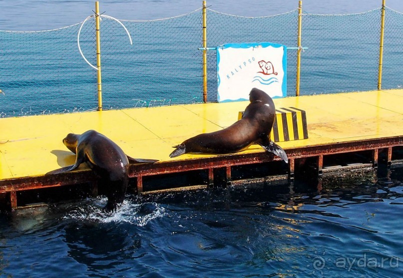 На часок к Калипсо