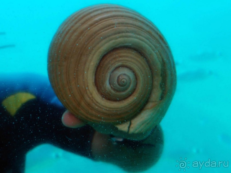 На часок к Калипсо