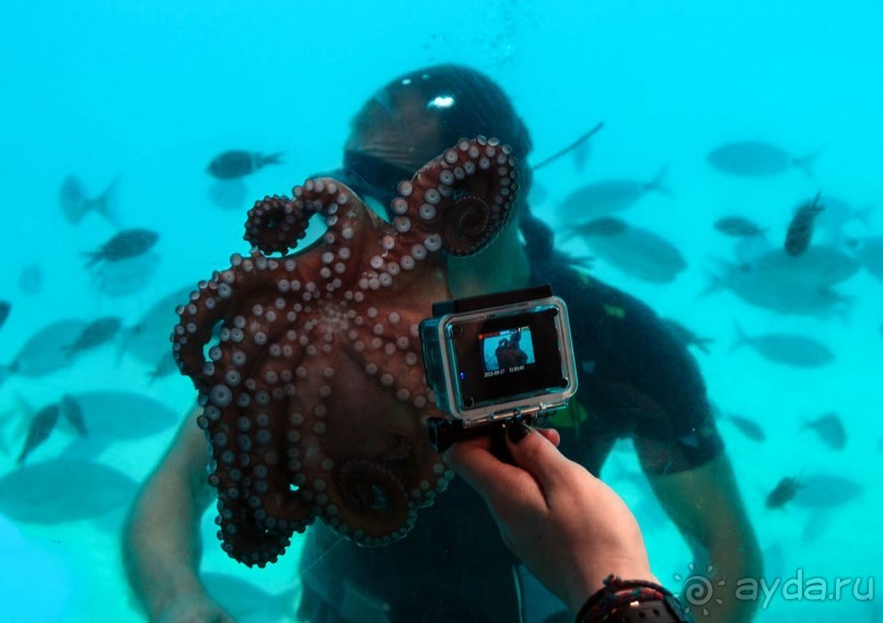 На часок к Калипсо