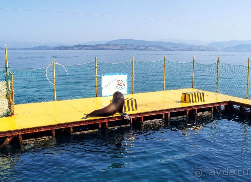 На часок к Калипсо