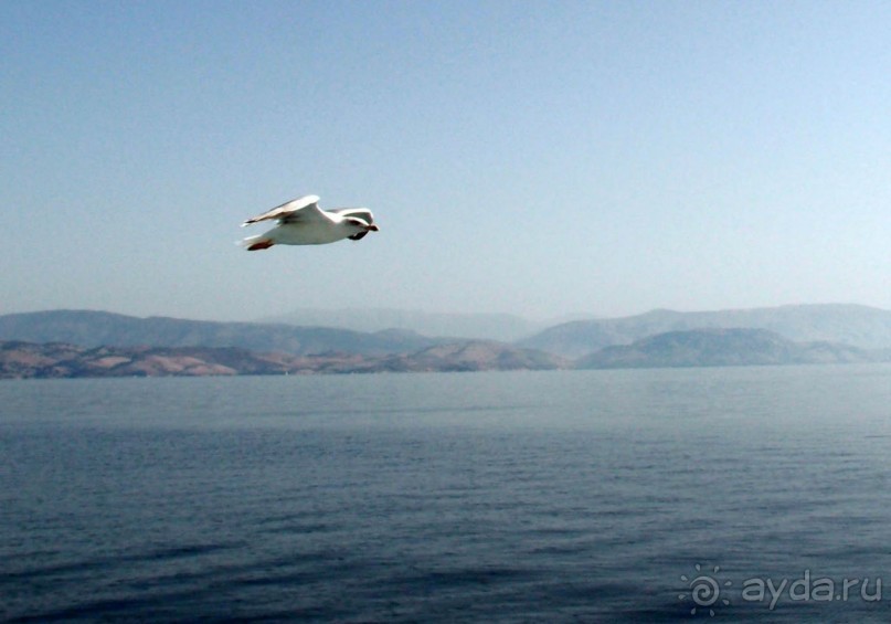 На часок к Калипсо