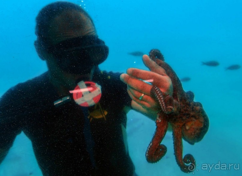 На часок к Калипсо