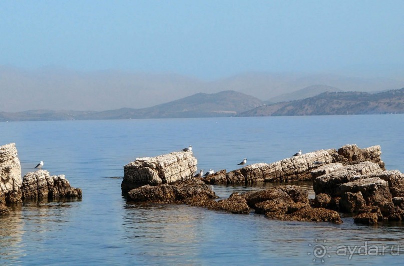 На часок к Калипсо