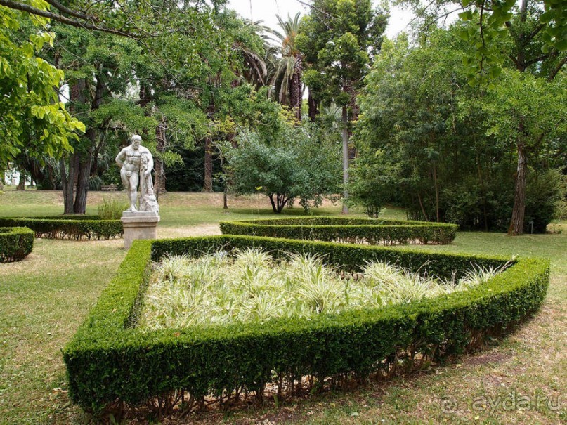 Заморские радости