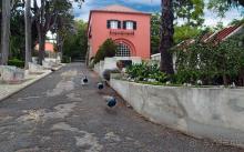 Заморские радости