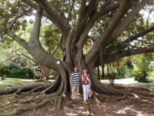 Заморские радости